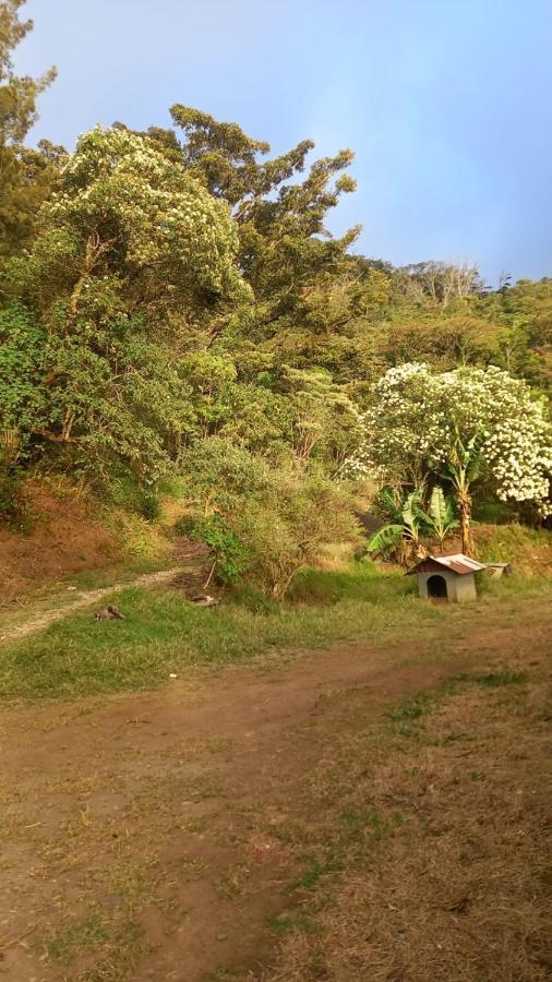 Finca Pantera Hotel Monteverde Bagian luar foto